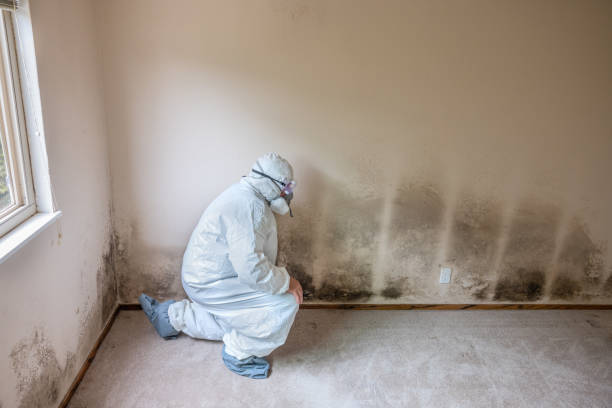 Best Bathroom Mold Remediation in Merrimac, VA