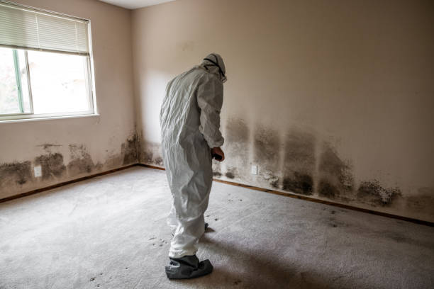 Best HVAC Mold Remediation in Merrimac, VA