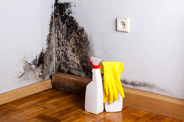 Best HVAC Mold Remediation in Merrimac, VA